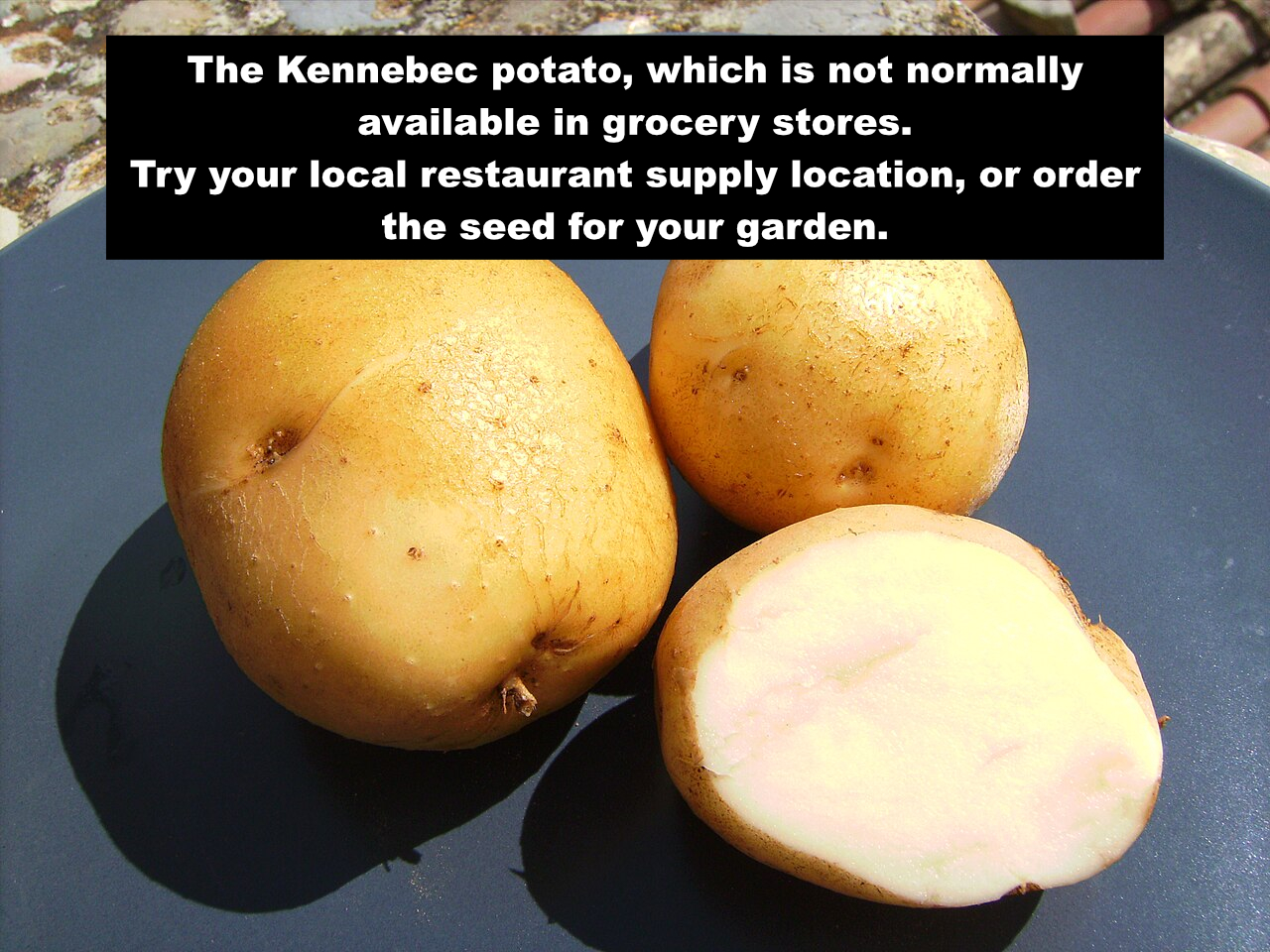 potato